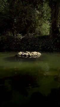 Isleta de los P&aacute;jaros  - Parque de Maria Luisa
