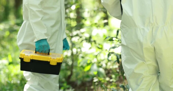 Two workers in white protective suits and blue gloves inspect a green forest, with one carrying a yellow and black toolbox in a bright natural setting.