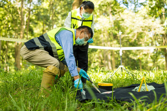 Two masked field workers in reflective vests inspect and collect material beside a black tarp in a sunny woodland setting.