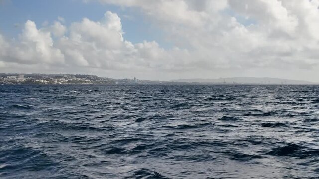 Dolphins swimming in the deep blue Caribbean Sea, offering a glimpse of marine wildlife during a holiday expedition near the coast of Martinique