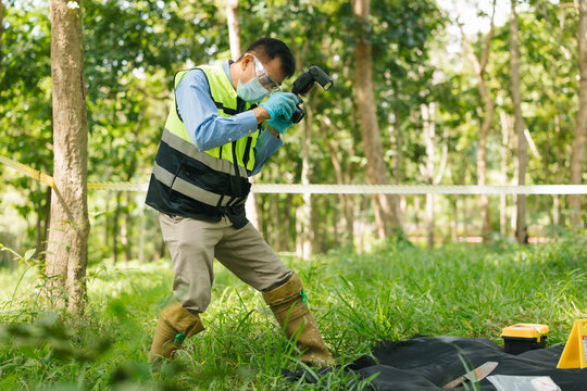 Forestry worker in protective clothing examines a tree with a handheld tool in a sunlit woodland, with safety equipment and a tarp on the grass.