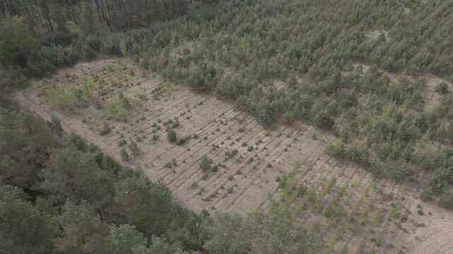 High aerial drone view flying over the cleared former military barracks grounds of Sonderwaffenlager Himmelpfort nuclear stock in a pine forest near Lychen, Uckermark, Brandenburg, Germany