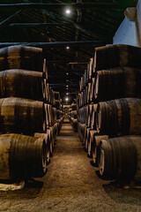 Naklejka premium Interior of traditional wine cellar in Porto Portugal with rows of wooden barrels used for aging port wine. Atmospheric underground storage with perspective view and warm low lighting.