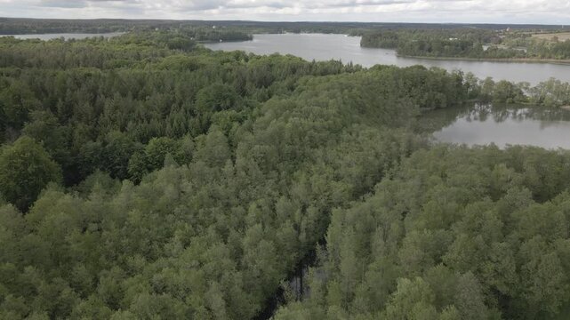 Aerial drone video tracking over a narrow forest stream leading into a scenic lake surrounded by dense green forest canopy near Lychen, Uckermark, Brandenburg, Germany, with lily pads on the water