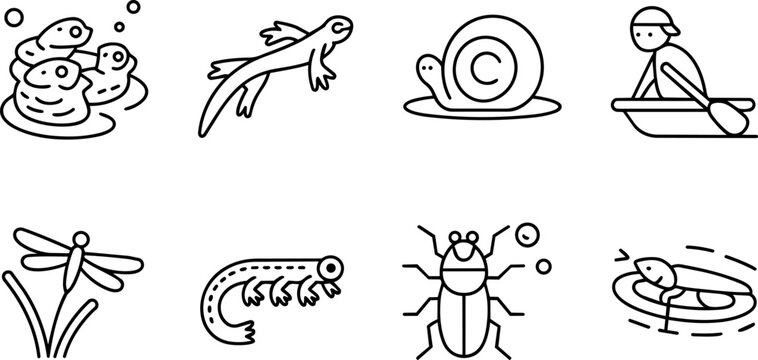 Black and white line art vector icons featuring various pond wildlife including frogs lizards snails boats dragonflies salamanders water bugs and swimming turtles arranged in a clean minimal grid layo