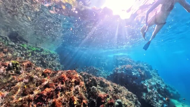 woman in a bikini and snorkeling gear swimming gracefully underwater, exploring coral reef bathed in sparkling sunlight, enjoying a tropical vacation experience in Anse Dufour of Martinique in France