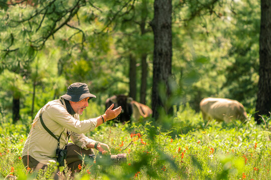 Wildlife observer pointing out animals in nature