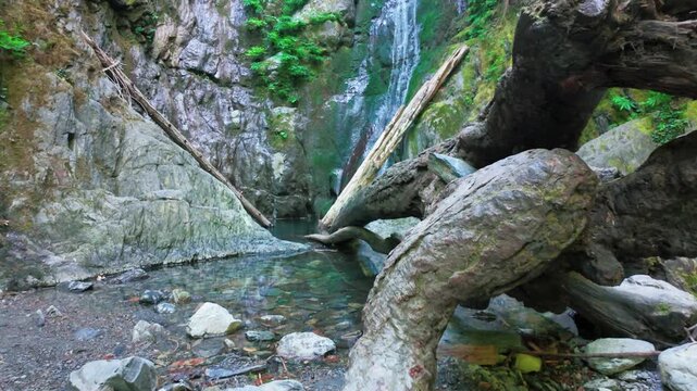 Thin Waterfall Cascading Down Moss Covered Forest Canyon Cliff Face