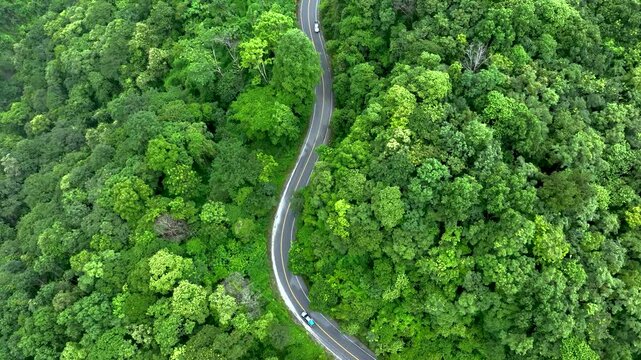 Scenic aerial forest road illustrating harmony between infrastructure and nature, suitable for sustainability communication, Green Finance, ESG investment, Climate Risk management, Renewable Energy Tr