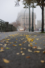 Fototapeta premium Foggy October morning walkway with fallen autumn leaves, ornate railing, trees, lamps, and blurred historic architecture in Prague