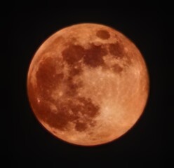 Full Blood Moon © Feather&Fern