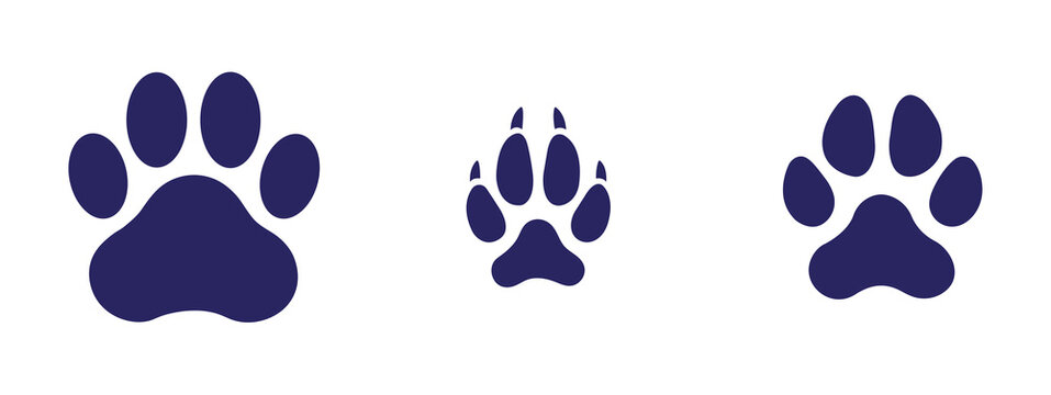 Dark blue animal paw prints set with cat, dog and wild predator tracks isolated on white background