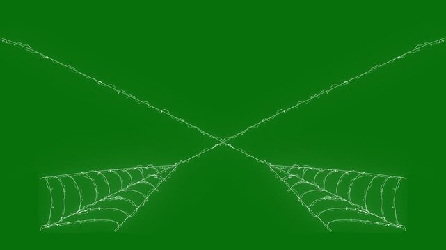 Flexible white spider silk animation expanding dynamic lines, realistic cobweb structure forming and pulsing on green screen background, Halloween horror VFX overlay, 4k loop