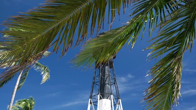 lighthouse with blue sky and palm trees