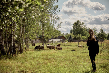 Sheep and goats grazing near trees © Pavel