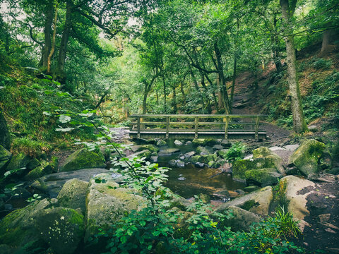 Footbridge over Burbage Brook in Padley Gorge woodland