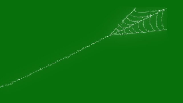Intricate white spider web rapidly contracting elastic lines, realistic cobweb structure forming, dynamic motion graphic overlay on green screen background, seamless VFX element, ultra HD 4k