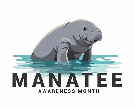 Cute gray manatee swimming in water for manatee awareness month illustration