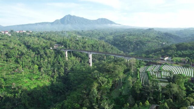 Aerial view of Jembatan Tukad Bangkung bridge spanning a lush green valley with surrounding agricultural fields and distant mountains in Kecamatan Petang, Bali, Indonesia.