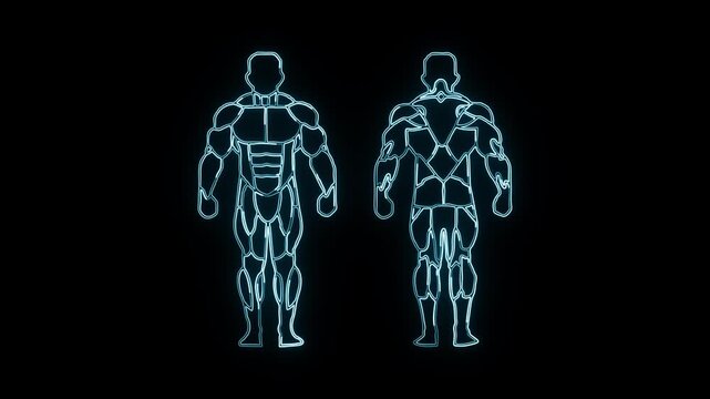 Human Body Anatomy Neon Outline Animation with Color Changing Glow Effect