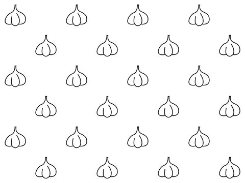 Seamless vector pattern with hand drawn garlic bulbs on white background stock photo