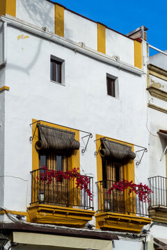 White building facade displaying rustic esparto grass blinds, yellow-framed windows and balconies adorned with vibrant bougainvillea flowers, characteristic of southern Spain architecture