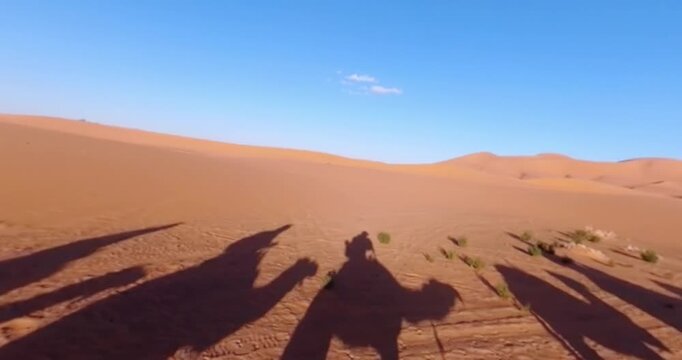 Shadows of Camel Riders on Golden Sand Dunes in the Sahara Desert, Africa