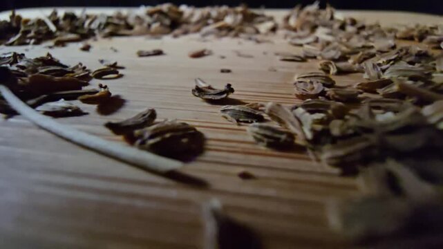Extreme close-up perspective of dry carrot seeds scattered over a wooden surface, focused for agricultural themes.   