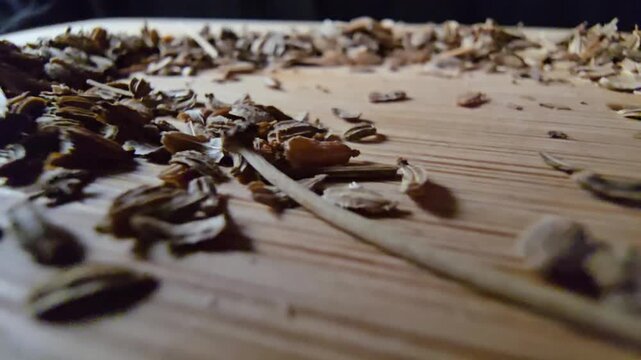 Extreme close-up perspective of dry carrot seeds scattered over a wooden surface, focused for agricultural themes.   
