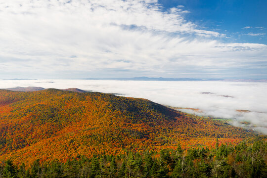Stunning Autumn Vista Over Burke Mountain Above a Sea of Clouds