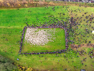 Redyk Jesienny Szczawnica Polska Dron © Rakowsky Films