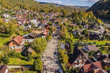Redyk Jesienny Szczawnica Polska Dron © Rakowsky Films