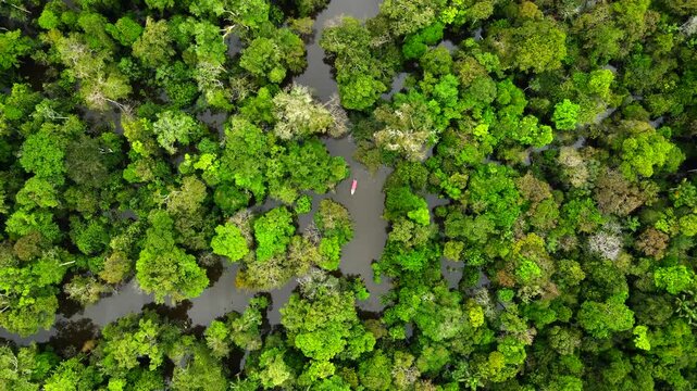 Aerial view of a small boat navigating a narrow river winding through the dense Amazon rainforest in Manaus, Amazonas, Brazil.