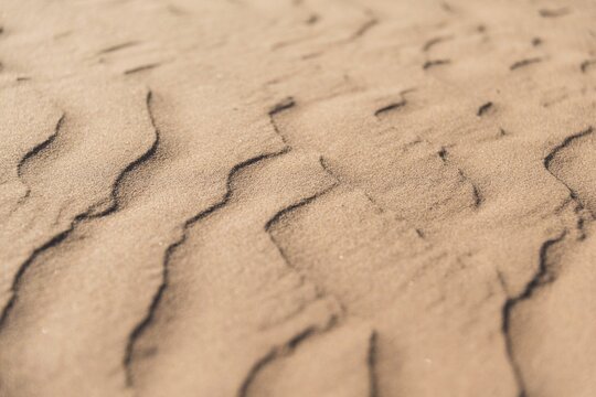 Wave pattern in the sand, Sossusvlei, Namib-Naukluft National Park, Namibia