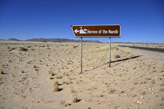 Sign desert horses, near Garub, Karas region, Namibia