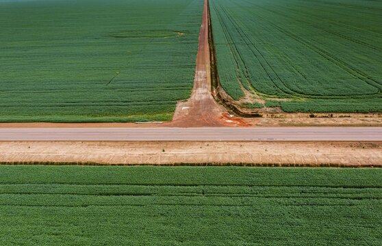 Giant soy fields, Sinop, Mato Grosso, Brazil