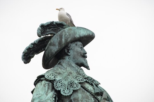 Seagull on statue or statue of Gustaf II Adolf by Bengt Erland Fogelberg, Gothenburg, V&auml;stra G&ouml;talands l&auml;n, Sweden