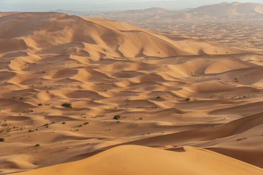 Caravan between sand dunes in the desert, dune landscape Erg Chebbi, Merzouga, Sahara, Morocco