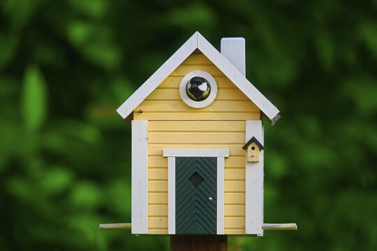 Great Tit (Parus major) looking out of Scandinavian bird house, Stuttgart, Baden-W&uuml;rttemberg, Germany Europe