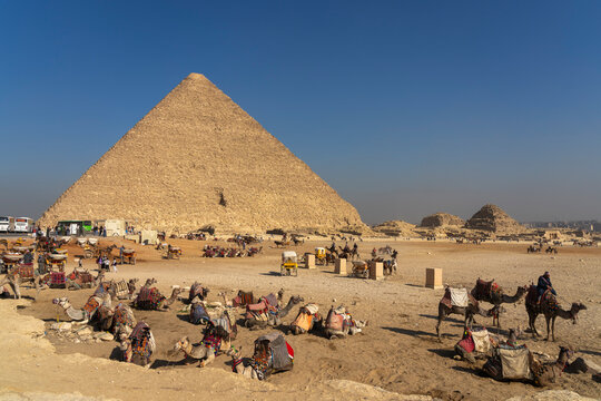 Camel handlers waiting for tourists at the Giza Plateau, Cairo, Egypt,