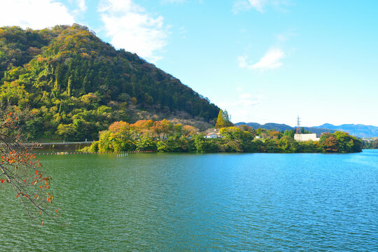 津久井湖　紅葉　神奈川県相模原市の風景