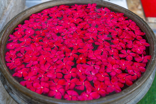 View of flower petals in water at entrance to Gangaramaya Temple, Colombo, Sri Lanka