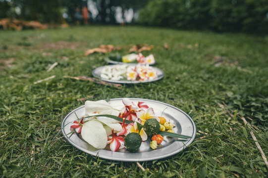 View of metal plates filled with colorful plumeria flowers and small tropical fruits arranged on a green lawn in Puerto Viejo de Talamanca, Limon Province, Costa Rica.