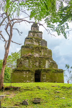View of stone remains at Polonnaruwa Archeological Ruins, Polonnaruwa, Sri Lanka