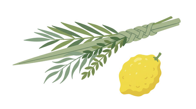 Sukkot four species lulav and etrog vector illustration, traditional Jewish holiday symbols isolated on white background