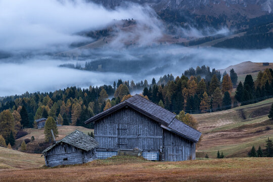 Traditional wooden Alpine barn on the Alpe di Siusi or Seiser Alm high Alpine meadow, The Dolomites, South Tyrol, Italy