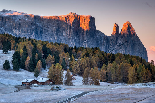 Dawn winter light over the Sciliar massif featuring Mount Sciliar and Punta Satner viewed from the Alpe di Siusi, also known as Seiser Alm, high Alpine meadow, South Tyrol, The Dolomites, Italy