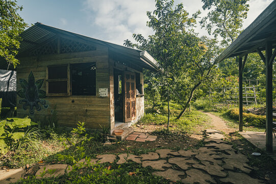 View of a rustic wooden cabin with a mural in a lush tropical garden with a stone path in Puerto Viejo de Talamanca, Limon Province, Costa Rica.