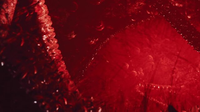 A captivating scene unfolds as a deep red glow reveals intricate textures and patterns. The play of light creates an enchanting atmosphere filled with warmth and mystery.