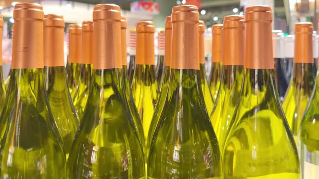 Assorted Alcohol Bottles on Display in Wine Section &ndash; Variety of Wine, Spirits and Liquor on Store Shelves